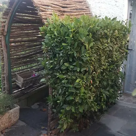 Casa Buono